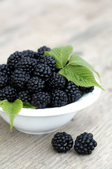 Close up of bramble fruit