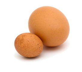 two eggs, small and large