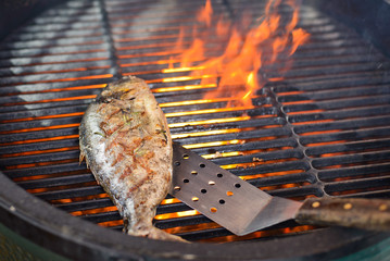 Dorado fish cooking on the grill