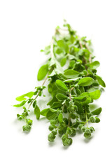 sprig of marjoram