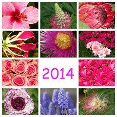 2014