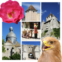 cité médiévale provins
