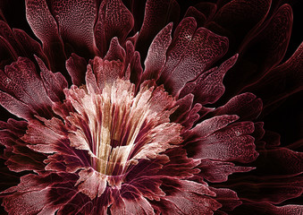 Abstract fractal flower