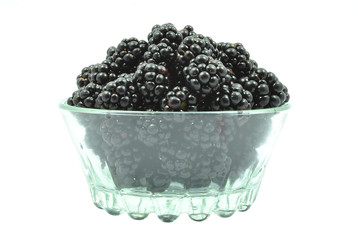 czernice © slawek_zelasko