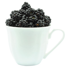 czernice w filiżance © slawek_zelasko