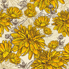 Fototapety  Floral seamless pattern with blooming flowers