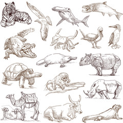 Animals around the world (collection no.3, white )