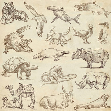 Animals around the world (collection no.3, old paper )