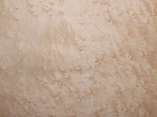 wood section pattern