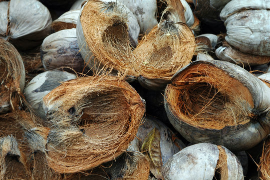 coconut shells