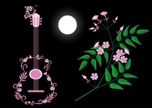 Guitar and jasmine