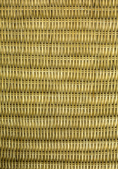 Rattan palm background