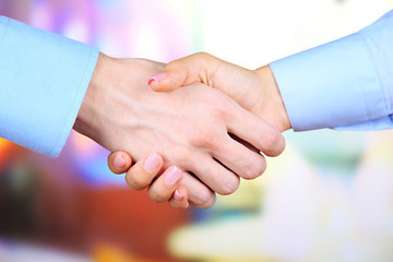 Business handshake on bright background