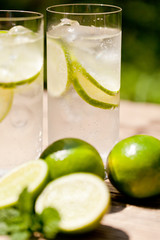 gesundes erfrischungsgetränk mineralwasser mit limetten