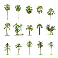 Fototapeta na wymiar Set of palm and coconut trees