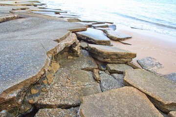 75 million years old Fossil Shell of Thailand