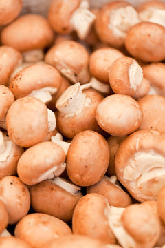 frische gesunde baune champignons auf dem markt