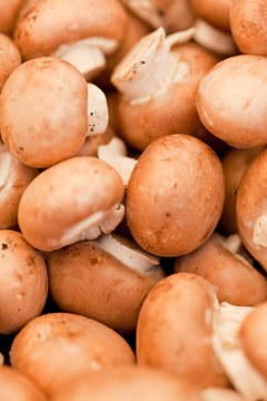 frische gesunde baune champignons auf dem markt