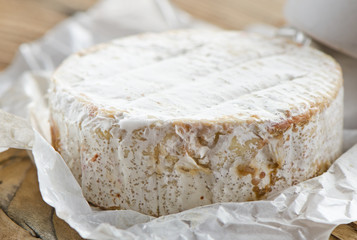 camembert cheese