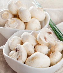 Mushrooms