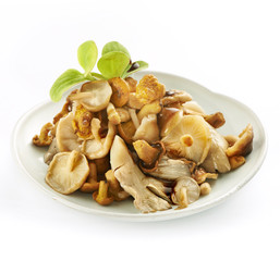 tasty mix of mushrooms