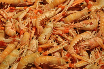Seafruit shrimps fish market in Venice