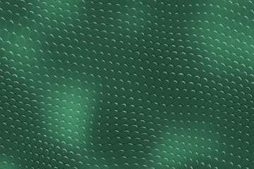 Green reptile skin