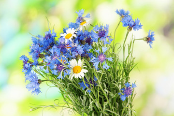 Beautiful cornflowers and chamomiles on green background