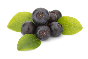 Fresh blueberries isolated on white background