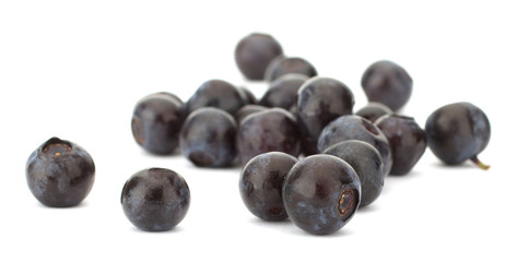 Fresh blueberries isolated on white background