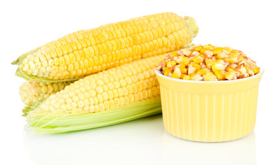 Fresh corn vegetable isolated on white