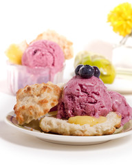 Ice-Cream and Biscuit
