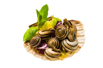Escargot with asparagus, rosemary, thymus and tomato