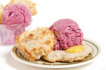 Fresh Dessert Blueberry Icecream