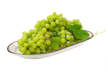 Green Grape