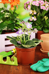 Beautiful flowers in pots on wooden table on natural background