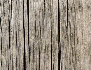 Dry wooden background damaged by weather
