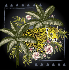 Fototapeta premium Onça