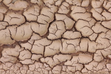 Barro seco agrietado, textura natural, sequía.