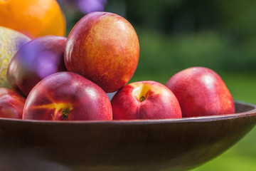 Pile of nectarines