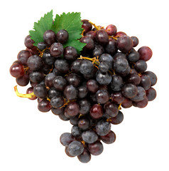 Uva nera - Black grapes