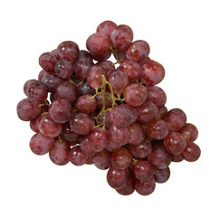 Uva rossa - Red grape
