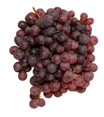 Uva nera - Black grape