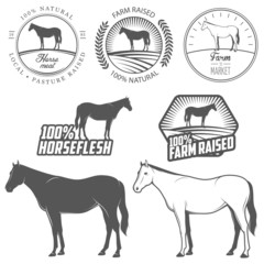 Set of horse meat (horse beef, horseflesh) labels and badges