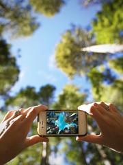 Mobile photo and trees
