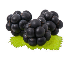 blackberries on a white background