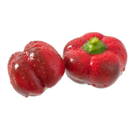 pepper on a white background