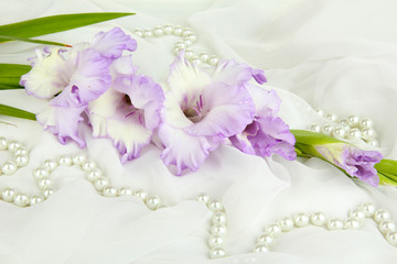 Beautiful gladiolus flower on white fabric background