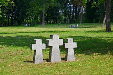 Kaliningrad. Crosses on the International memorial cemetery of v