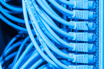 network cables connected to switch